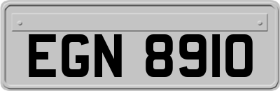 EGN8910