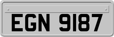 EGN9187