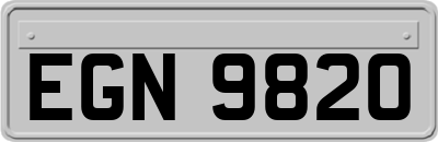 EGN9820