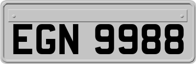 EGN9988