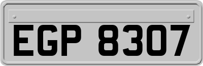 EGP8307