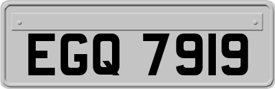 EGQ7919