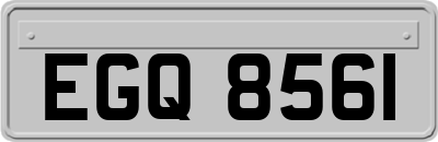 EGQ8561