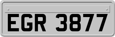 EGR3877
