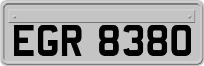 EGR8380
