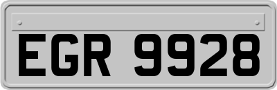 EGR9928