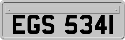 EGS5341