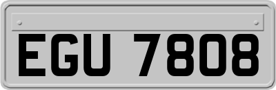 EGU7808
