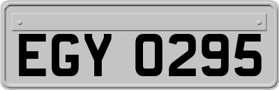 EGY0295