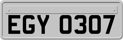 EGY0307