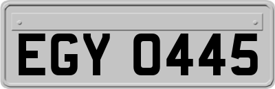 EGY0445