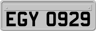 EGY0929