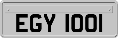 EGY1001