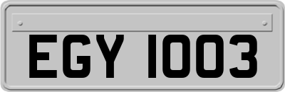 EGY1003