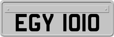 EGY1010