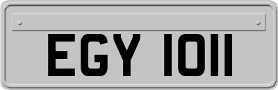 EGY1011