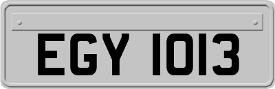 EGY1013