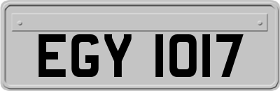 EGY1017
