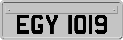 EGY1019