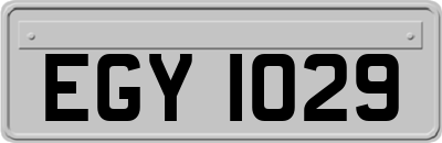 EGY1029