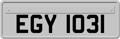 EGY1031