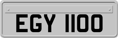 EGY1100