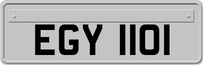 EGY1101