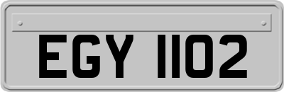 EGY1102