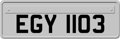 EGY1103