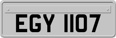 EGY1107