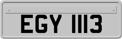 EGY1113