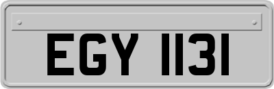 EGY1131