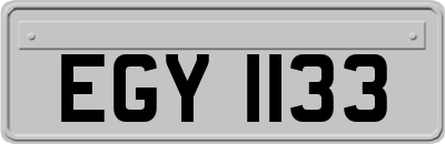 EGY1133