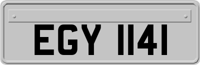 EGY1141