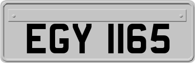 EGY1165