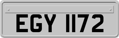 EGY1172
