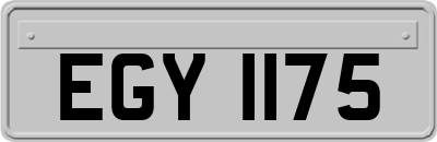 EGY1175