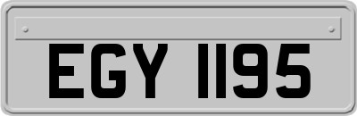 EGY1195