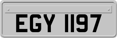 EGY1197