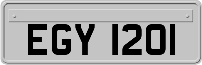 EGY1201