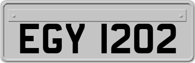 EGY1202
