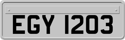 EGY1203