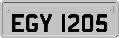 EGY1205