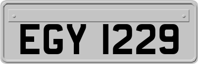 EGY1229