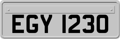 EGY1230
