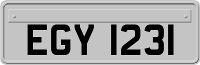 EGY1231