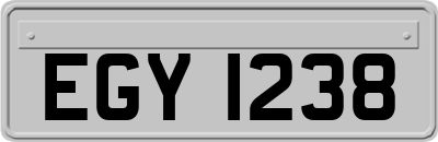 EGY1238