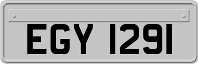 EGY1291