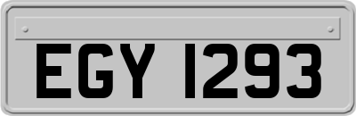 EGY1293