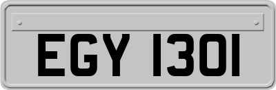 EGY1301